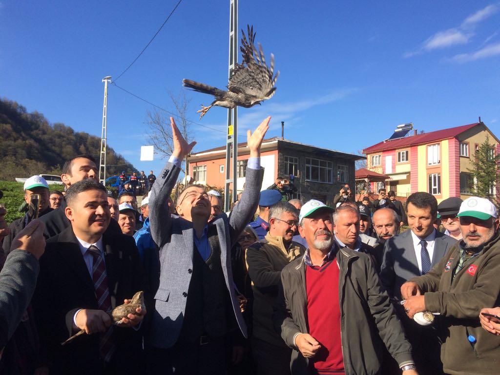 Artvin’in Kemalpaşa ilçesinde yaklaşık 40 atmaca düzenlenen törenle doğaya salındı.
