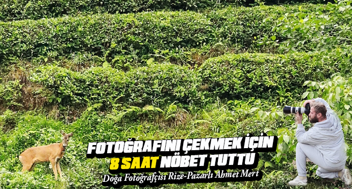 Pazarlı Doğa Fotoğrafçısı 8 Saat Nöbet Bekledi