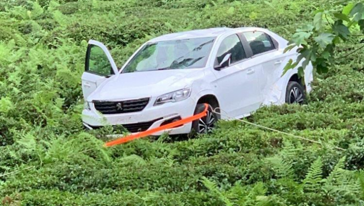 Arhavi’de otomobil uçurumdan çay tarlasına düştü: 1 ölü, 2 yaralı