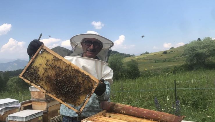 Artvin’de yavru arı bereketi