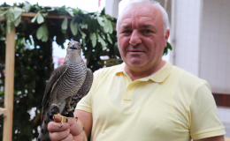 Atmaca kültürü tanıtılıyor